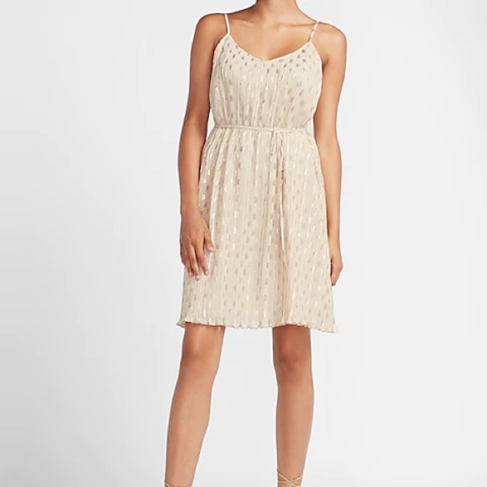 Express Beige and Metallic Gold Pleated Dress